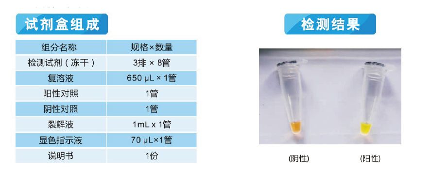 銅綠假單胞菌檢測(cè)試劑盒