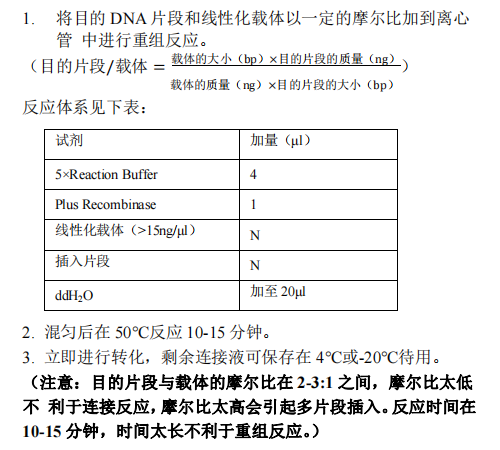 B 目的片段與載體的重組