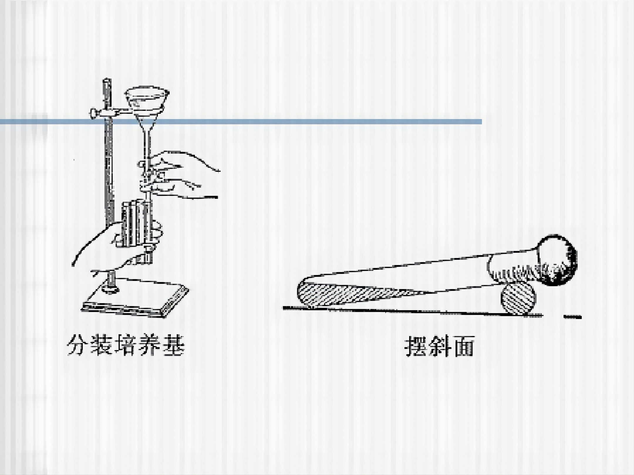 培養(yǎng)基分裝