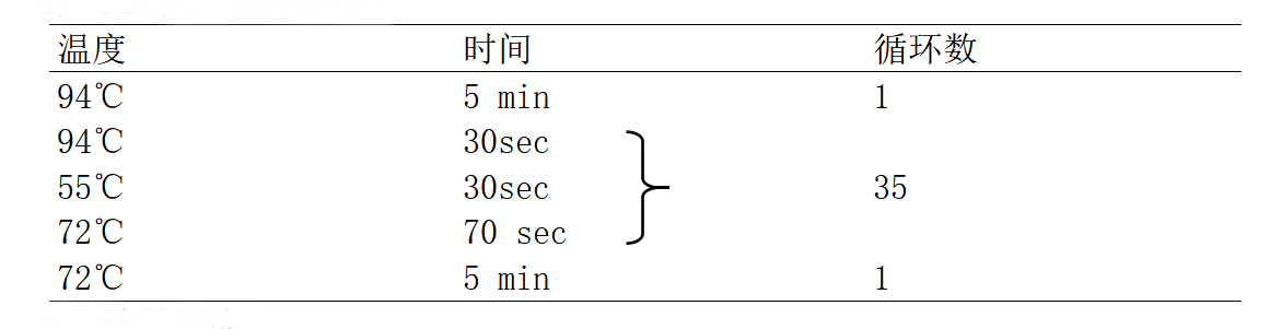 肉毒梭菌A/B型毒素基因PCR檢測試劑盒PCR反應(yīng)程序