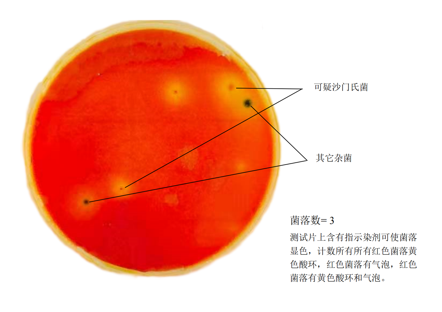 沙門氏菌測試片判讀手冊(cè)